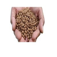 Floating Fish Feed Pellets