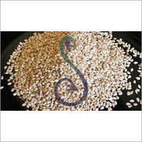 Sesame Seeds