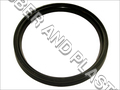 Oil Seal