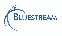 Bluestream Manufacturing Services Pvt. Ltd.