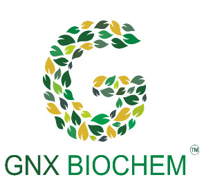 GNX NOVEL