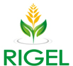 MIDAS AGROFOODS PRIVATE LIMITED