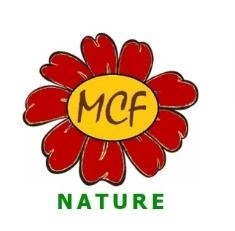 MIDCITY FOODS PRIVATE LIMITED