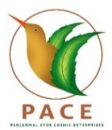 PACE PVT LTD