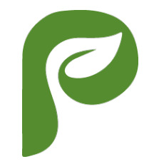 PRIME MILLET