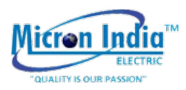 MICRON INDIA