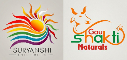 GSN Paints