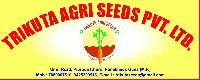 TRIKUTA AGRI SEEDS PVT. LTD.