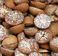 Whole Dried Betel Nut
