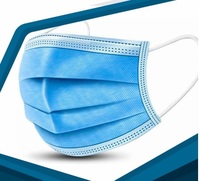3 Ply Mask