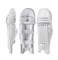 Chase Cricket Gears