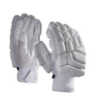 Chase Cricket Gloves
