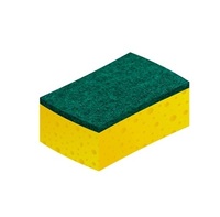 Sponge With Scouring Pad