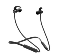 boAt Rockerz 255 Bluetooth Wireless in Ear Earphones with Mic (Active Black)