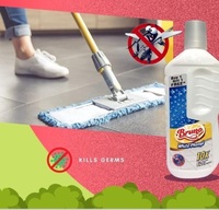 Bruno White Phenyl