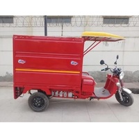 Cargo E rickshaw