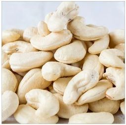 cashew nut dealers