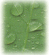 E. S. PATANWALA PVT. LTD