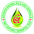 AEGEAN EXP TECHNOLOGIES