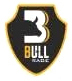 Bull Rage India Inc