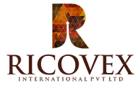 RICOVEX INTERNATIONAL PRIVATE LIMITED