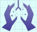 WELLNESS HEALTHCARE