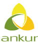 ANKUR SCIENTIFIC ENERGY TECHNOLOGIES PVT LTD