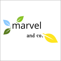 MARVEL AND CO.