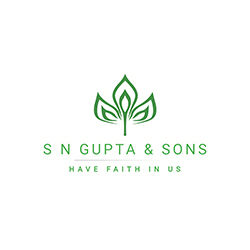 S N GUPTA AND SONS