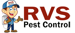 RVS PEST CONTROL SERVICE
