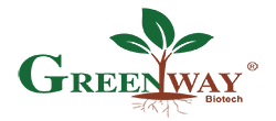 GREEN WAY BIOTECH