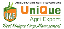 UNIQUE AGRI EXPORT