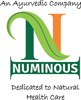NUMINOUS PRODUCTS INDIA PRIVATE LIMITED