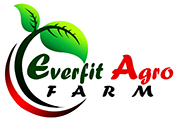 EVERFIT AGRO FARM