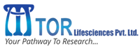 MTOR LIFE SCIENCES PRIVATE LIMITED