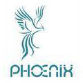 PHOENIX MEDICAL TECHNOLOGIES AND IMPORTS