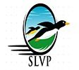 SLVP Trading Company