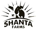 SHANTA TRADEXIM PRIVATE LIMITED