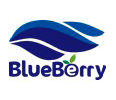 Blueberry Corp