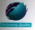 AYZAN MULTILINK LLP
