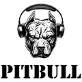 PITBULL AUDIO PRIVATE LIMITED
