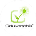 ODUVANCHIK LLC