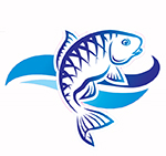 RISE AQUA SOLUTIONS