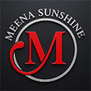 MEENA SUNSHINE LED LIGHT PRIVATE LIMITED