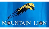 Mount Lion India Private Limited