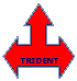 Trident Infratech