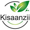 KISAANZII SOLUTIONS PRIVATE LIMITED