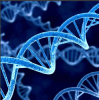 PLASMID BIOTECH