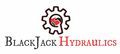 BlackJack Hydraulics