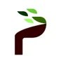PRAGATI WOOD SPECIALITIES PVT. LTD.